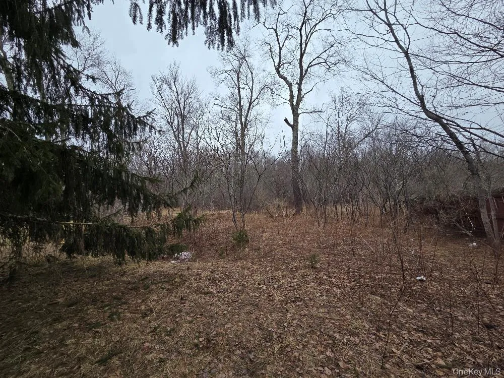 TBD State Route 52 White Sulphur Spring, NY 12787