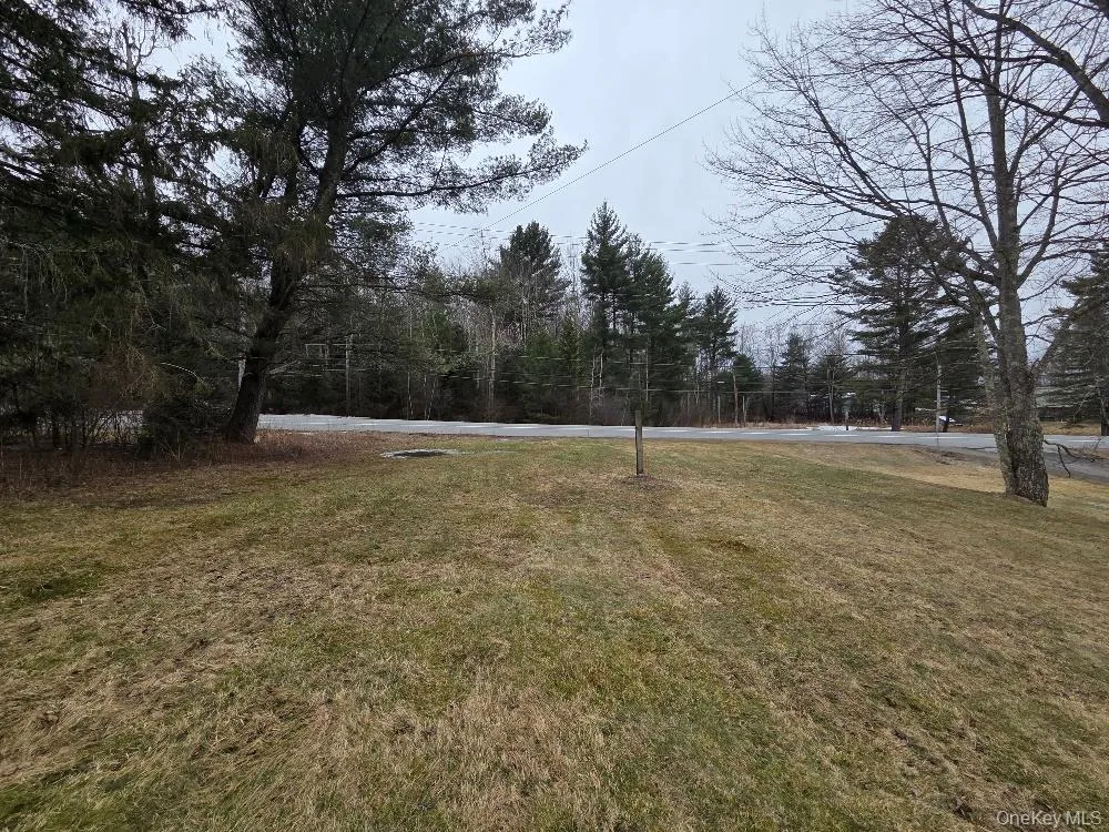 TBD State Route 52 White Sulphur Spring, NY 12787