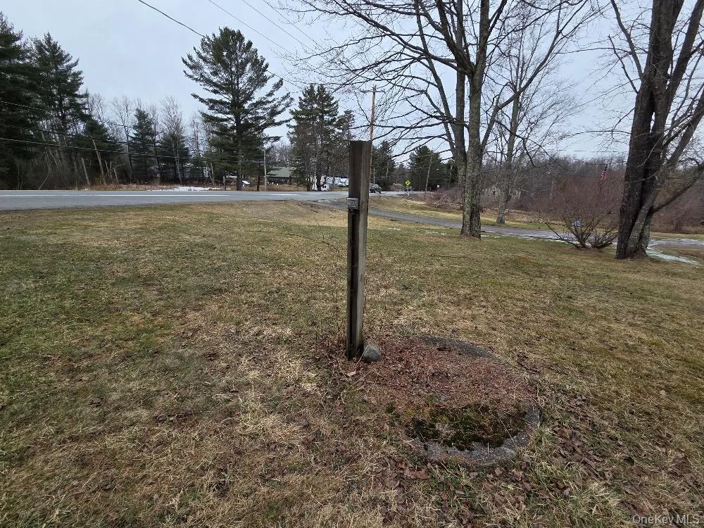 TBD State Route 52 White Sulphur Spring, NY 12787