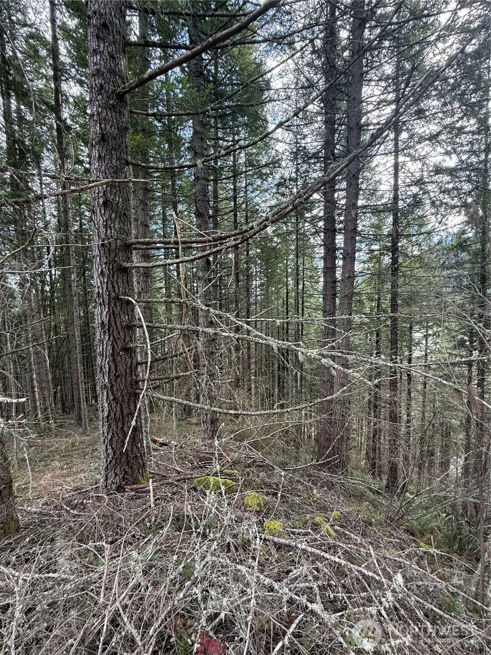 53007 128th Avenue E Eatonville, WA 98328