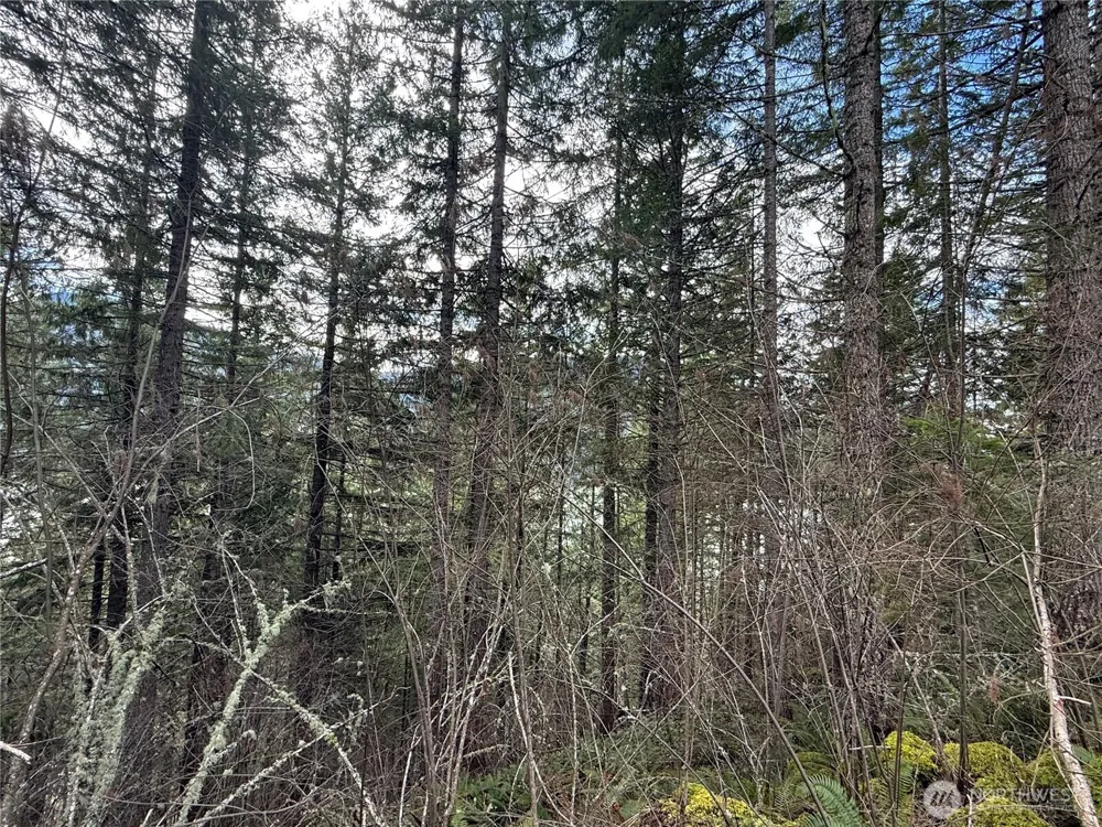 53007 128th Avenue E Eatonville, WA 98328