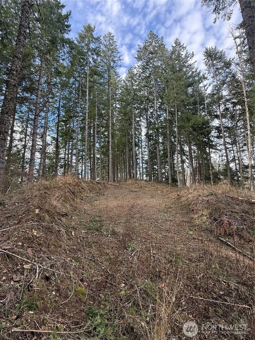 53007 128th Avenue E Eatonville, WA 98328