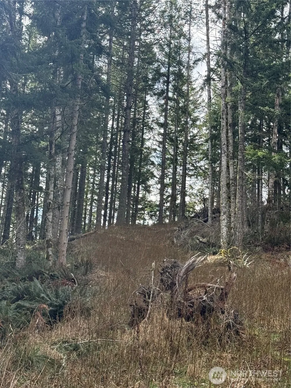 53007 128th Avenue E Eatonville, WA 98328