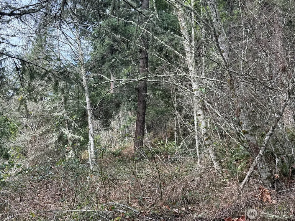 53007 128th Avenue E Eatonville, WA 98328