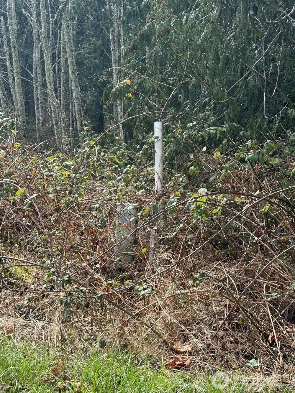 53007 128th Avenue E Eatonville, WA 98328