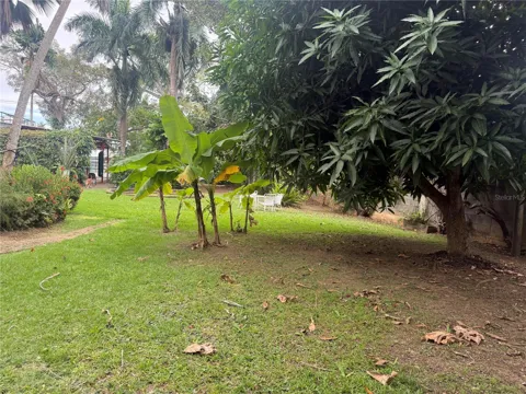 CALLE PEDROSA, GARDEN HILLS