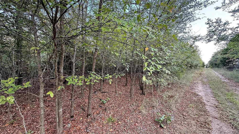 2 S 4531 ROAD Vian, OK 74962