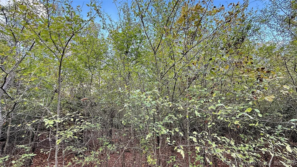 2 S 4531 ROAD Vian, OK 74962