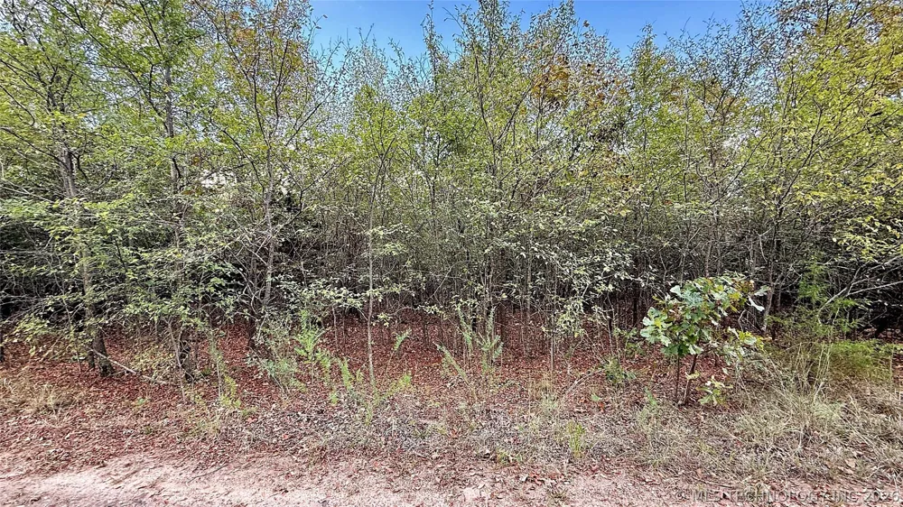 2 S 4531 ROAD Vian, OK 74962