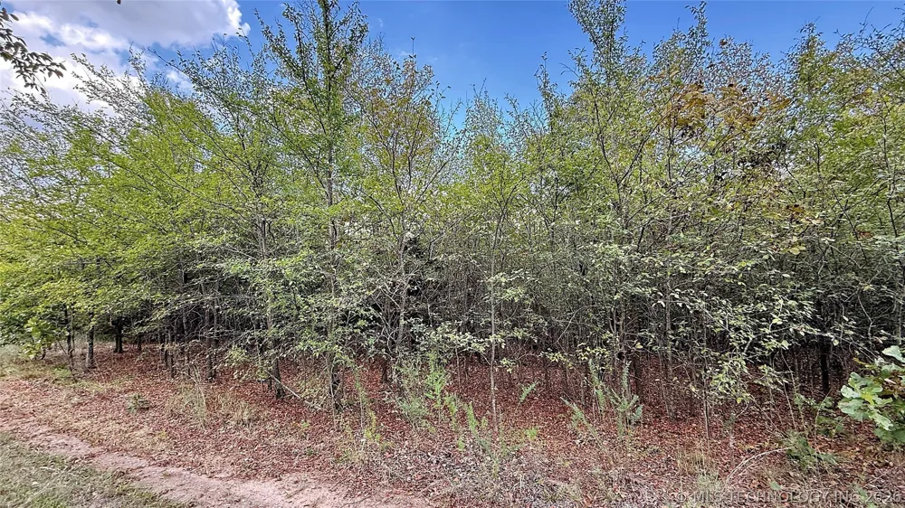 2 S 4531 ROAD Vian, OK 74962