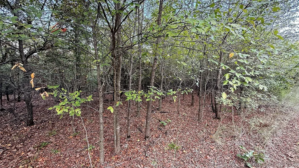 2 S 4531 ROAD Vian, OK 74962