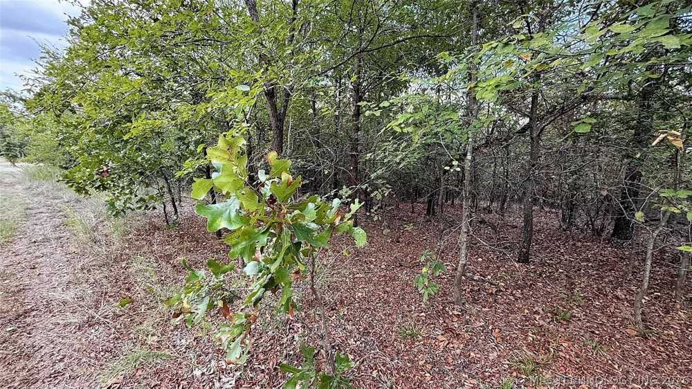 2 S 4531 ROAD Vian, OK 74962