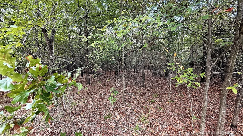 2 S 4531 ROAD Vian, OK 74962