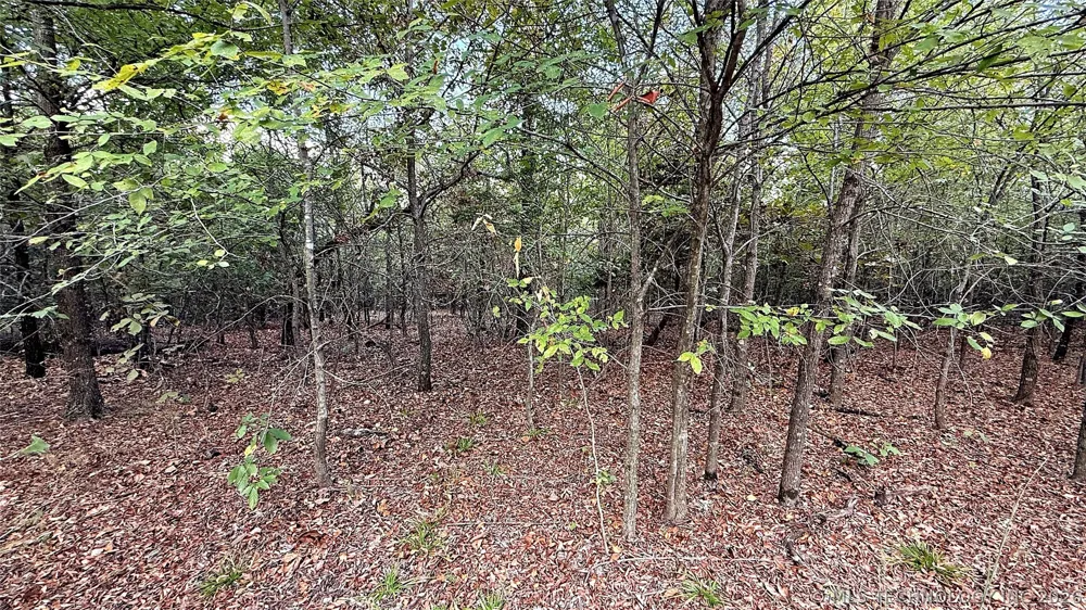 2 S 4531 ROAD Vian, OK 74962