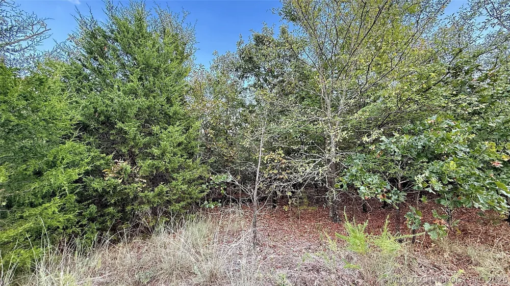 2 S 4531 ROAD Vian, OK 74962