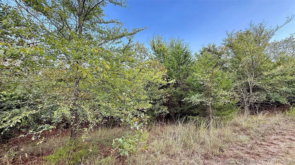 2 S 4531 ROAD Vian, OK 74962