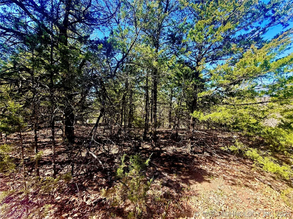 18 Lakecrest Drive Canadian, OK 74425