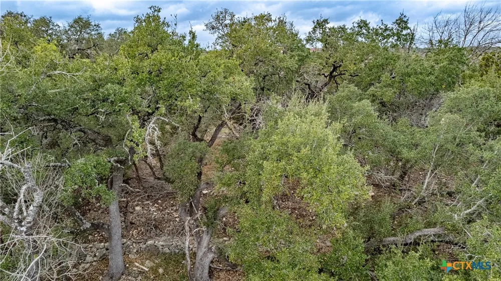 250 Mail Route Road Fischer, TX 78623