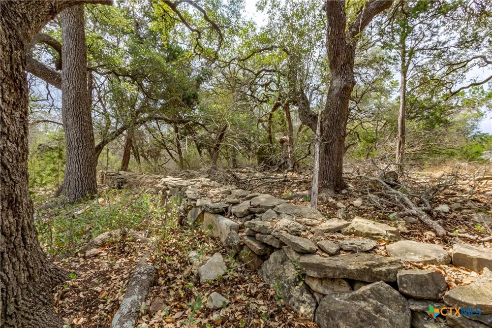 250 Mail Route Road Fischer, TX 78623