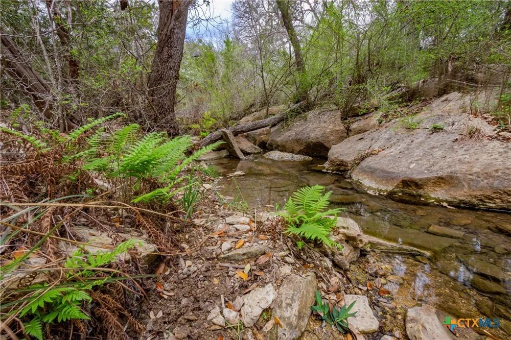 250 Mail Route Road Fischer, TX 78623
