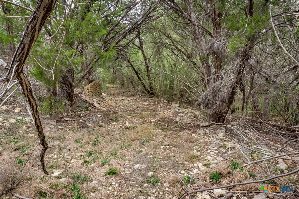 250 Mail Route Road Fischer, TX 78623