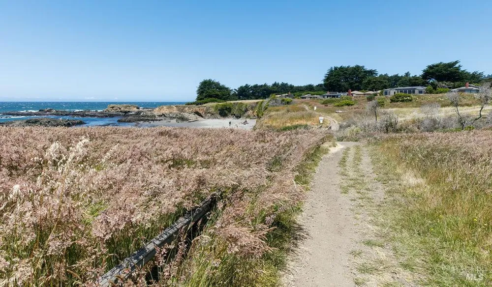 880 River Beach Road The Sea Ranch, CA 95497
