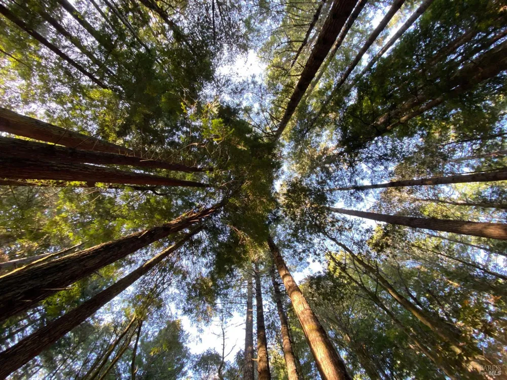 880 River Beach Road The Sea Ranch, CA 95497