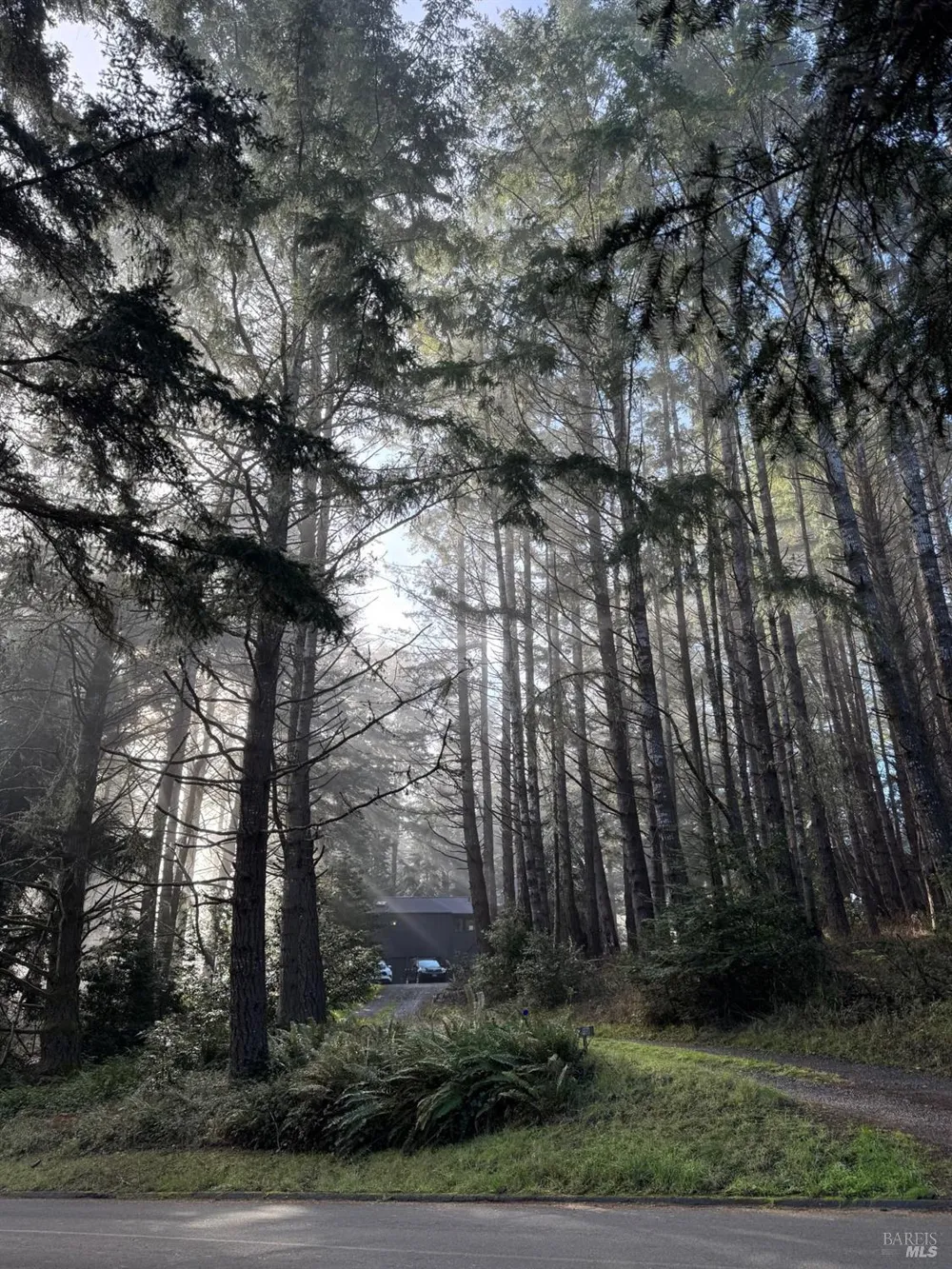 880 River Beach Road The Sea Ranch, CA 95497
