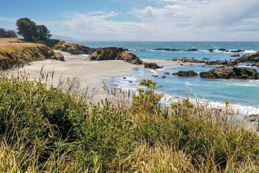 880 River Beach Road The Sea Ranch, CA 95497