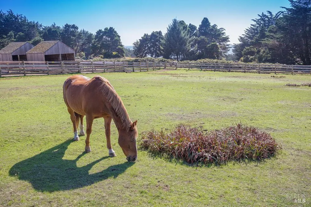 880 River Beach Road The Sea Ranch, CA 95497