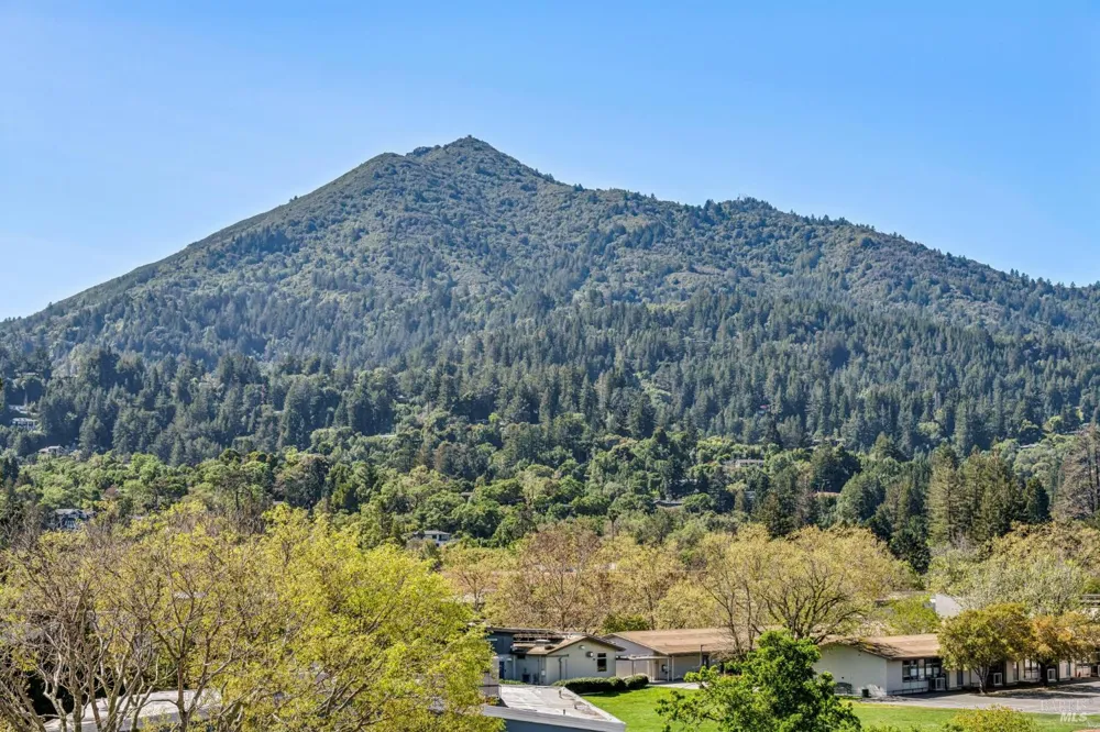 4 Ash Avenue ##11 Kentfield, CA 94904