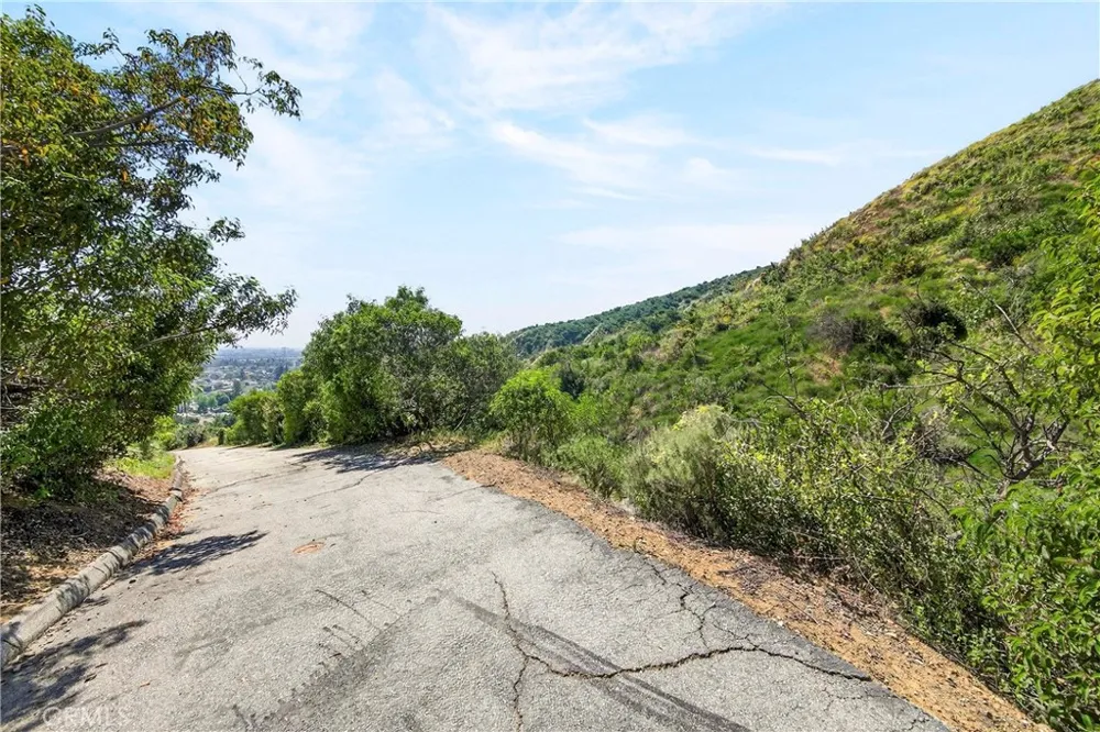 Opal Canyon Road Duarte, CA 91010