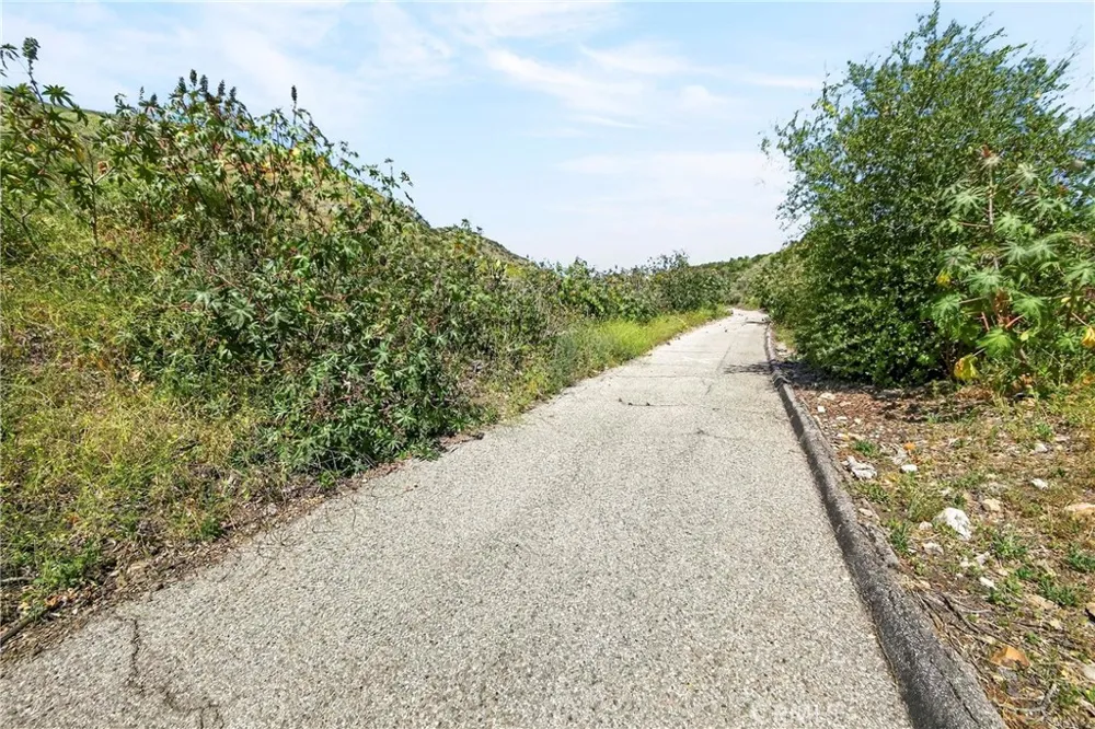 Opal Canyon Road Duarte, CA 91010