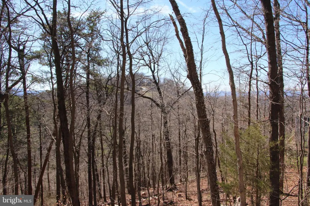 WENDY HILL ROAD Front Royal, VA 22630