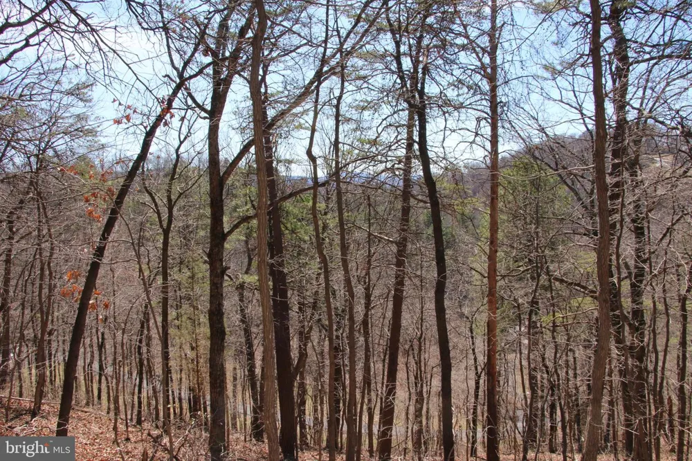 WENDY HILL ROAD Front Royal, VA 22630