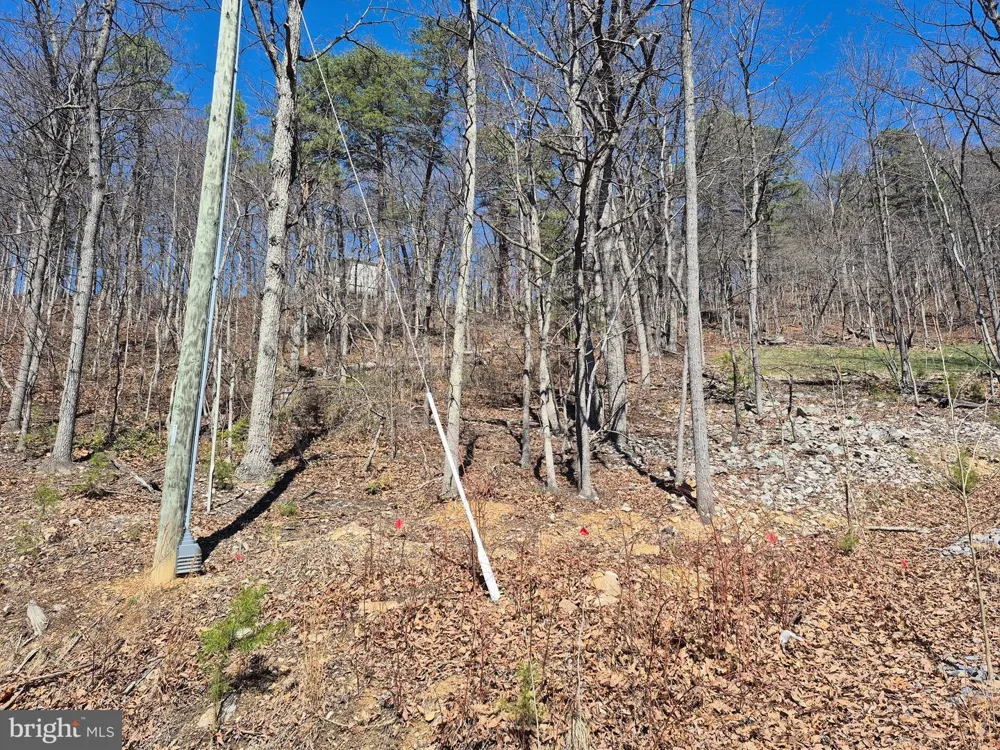 WENDY HILL ROAD Front Royal, VA 22630
