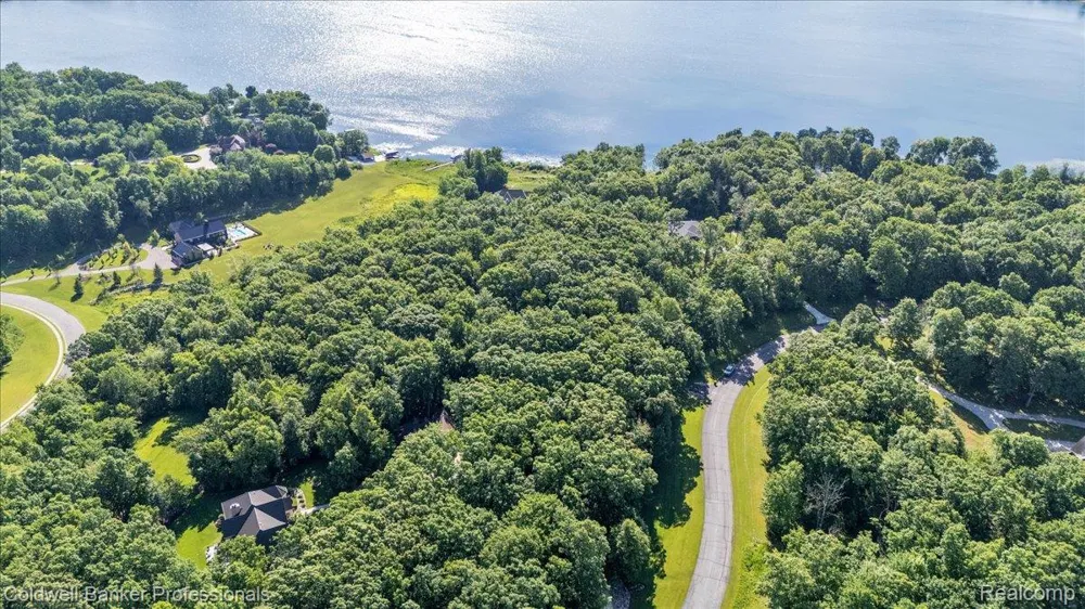 4359 Longview Drive Elba Township, MI 48446