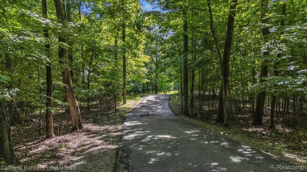 4359 Longview Drive Elba Township, MI 48446