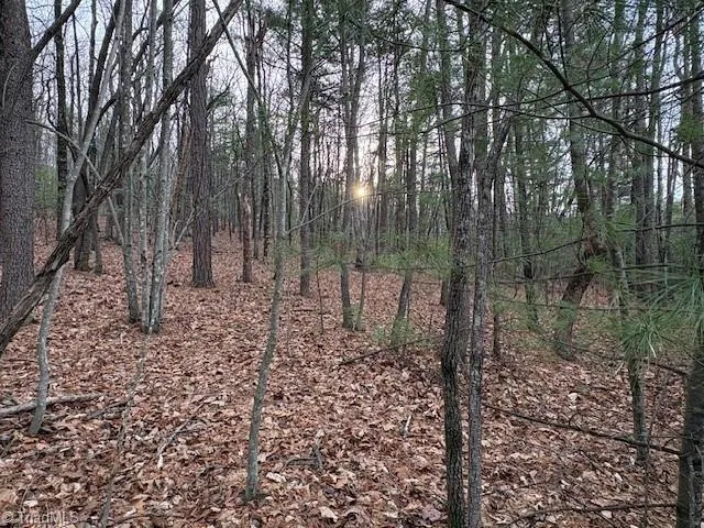 TBD Sutters Ridge Road McGrady, NC 28649