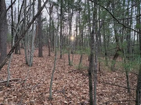 TBD Sutters Ridge Road