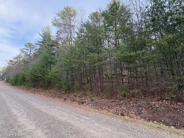TBD Sutters Ridge Road McGrady, NC 28649