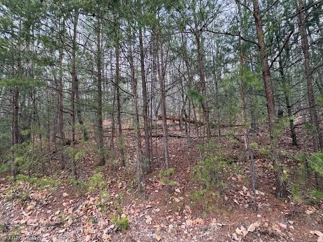 TBD Sutters Ridge Road McGrady, NC 28649