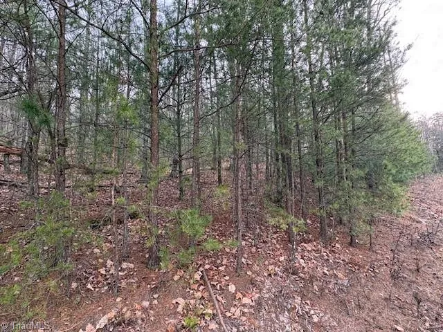 TBD Sutters Ridge Road McGrady, NC 28649