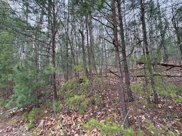 TBD Sutters Ridge Road McGrady, NC 28649