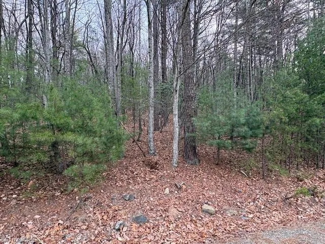 TBD Sutters Ridge Road McGrady, NC 28649