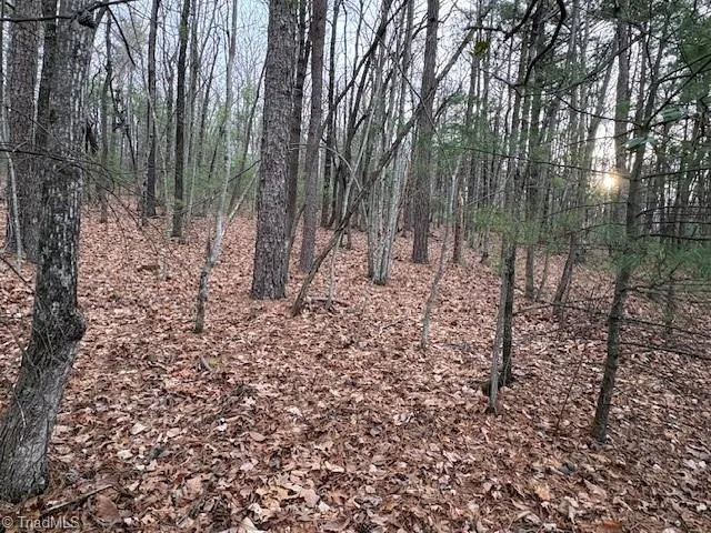 TBD Sutters Ridge Road McGrady, NC 28649