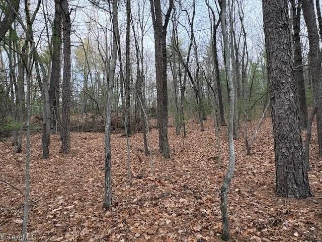 TBD Sutters Ridge Road McGrady, NC 28649