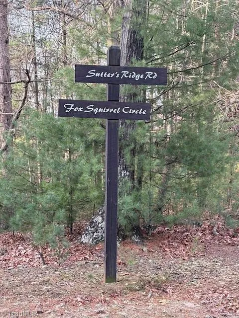 TBD Sutters Ridge Road McGrady, NC 28649