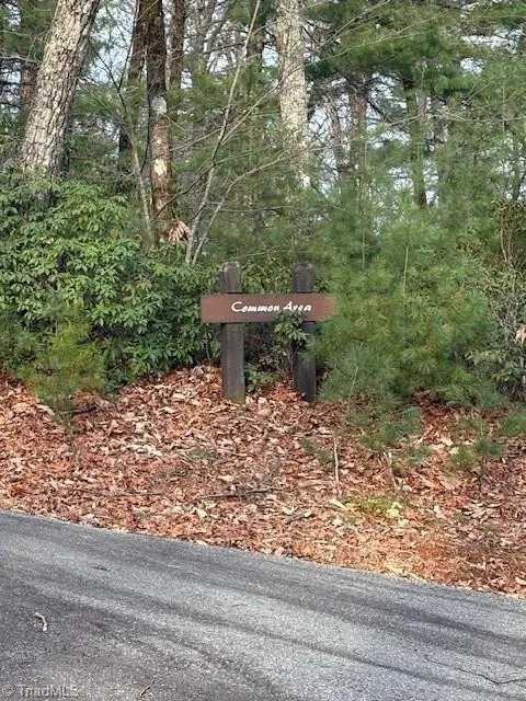 TBD Sutters Ridge Road McGrady, NC 28649