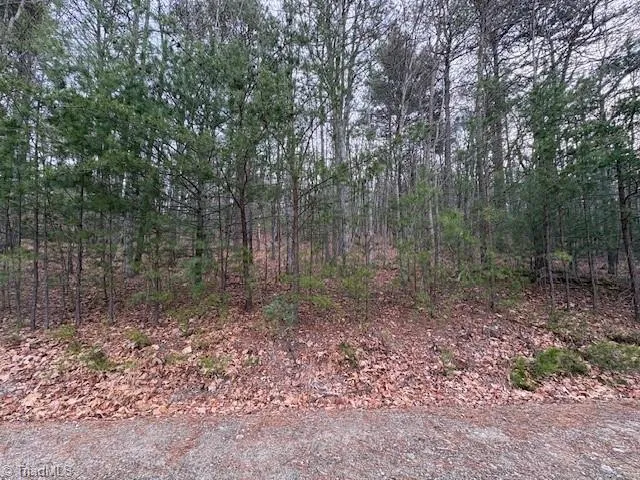TBD Sutters Ridge Road McGrady, NC 28649